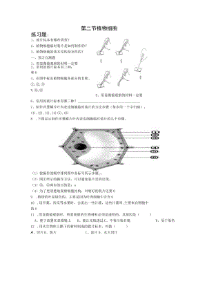 第二节植物细胞.docx
