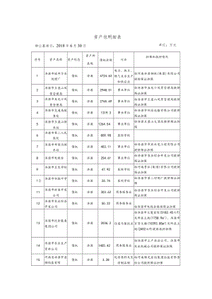 资产包明细表.docx