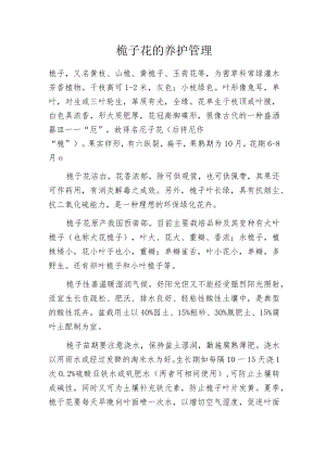 栀子花的养护管理.docx
