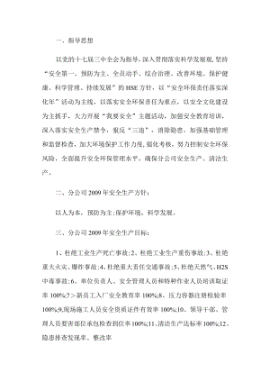 某石油企业2009年安全环保工作规划.docx