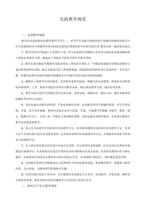 实践教学规范.docx