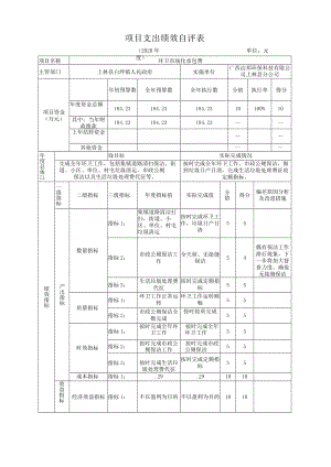 项目支出绩效自评表.docx