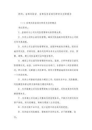 首席风险官、首席信息官岗位职责及任职要求.docx