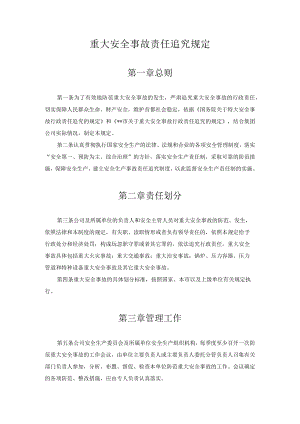 某公司重大安全事故责任追究规定.docx