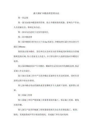 露天煤矿伞檐清理管理办法.docx
