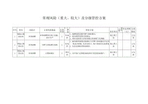 氯乙烯工段重大风险管控方案.docx