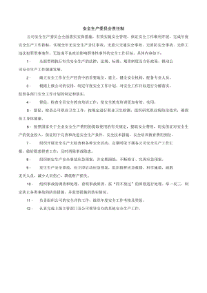 某公司安全生产委员会安全责任制.docx