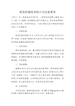 桂花扦插技术的六大注意事项.docx