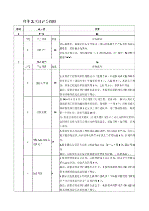 项目评分细则.docx