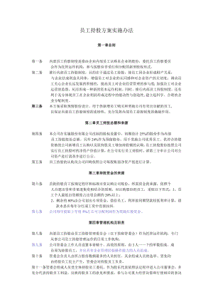 员工持股方案实施计划.docx