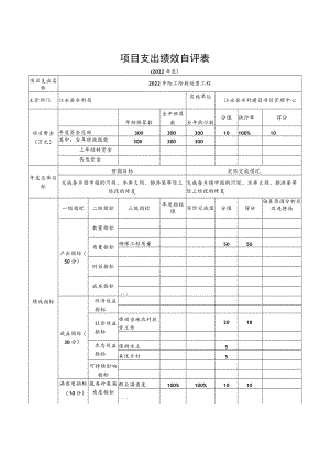 项目支出绩效自评表.docx