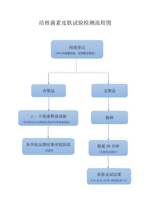 结核菌素皮肤试验检测流程图.docx