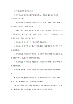 生产副总安全生产责任制.docx