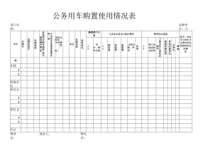 公务用车购置使用情况表.docx
