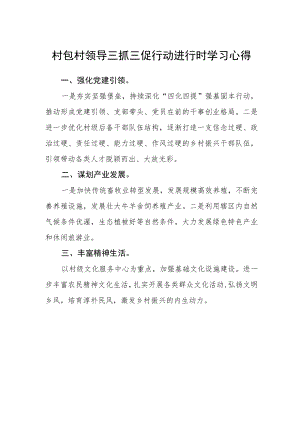 村包村领导三抓三促行动进行时学习心得.docx
