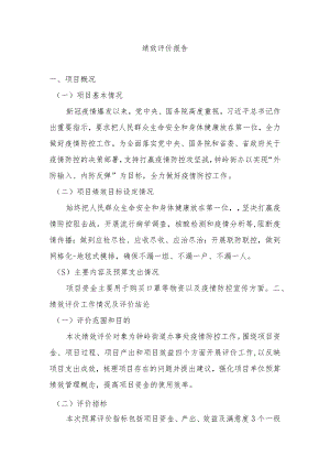 绩效评价报告.docx