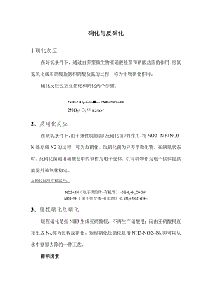 硝化与反硝化技术研究.docx