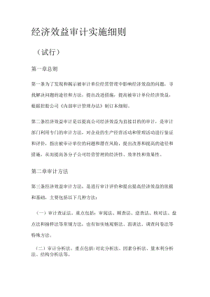 经济效益审计实施细则.docx