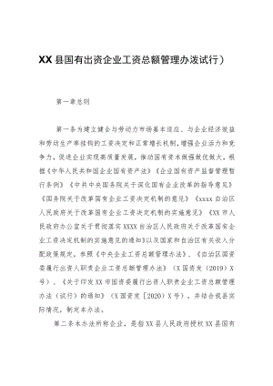 XX县国有出资企业工资总额管理办法（试行）.docx
