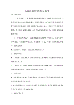 电离辐射突发事件现场处置方案.docx
