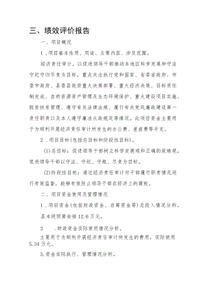 绩效评价报告.docx