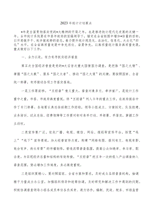 2023年统计计划要点.docx