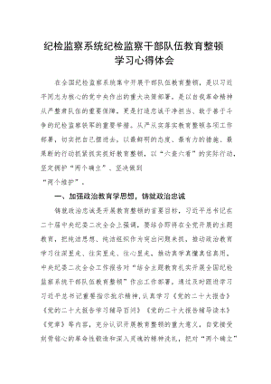 纪检监察系统纪检监察干部队伍教育整顿学习心得体会.docx