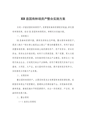 XX县国有林场资产整合实施方案.docx