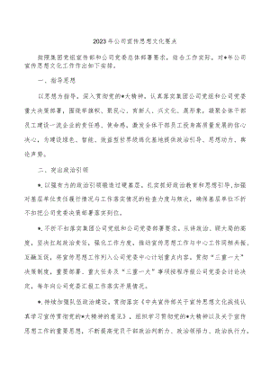 2023年公司宣传思想文化要点.docx