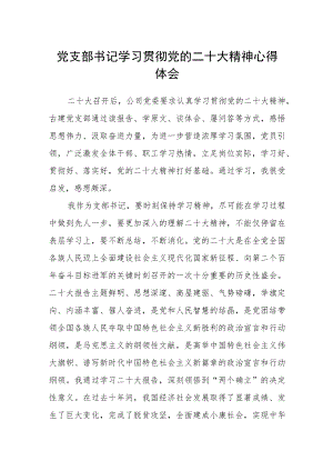 党支部书记学习贯彻党的二十大精神心得体会.docx