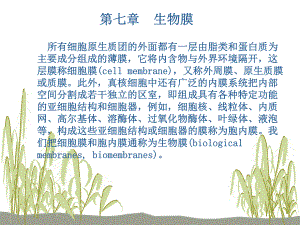 《生物化学》生物膜.pptx