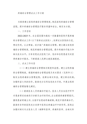 疼痛综合管理试点工作方案.docx