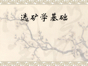选矿基础课件.ppt