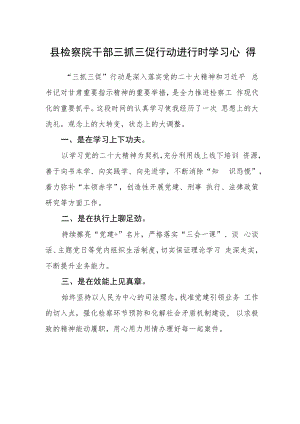 县检察院干部三抓三促行动进行时学习心得.docx