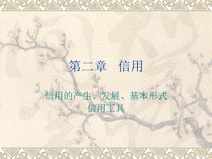 金融学信用.ppt