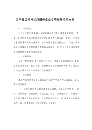 县级领导挂点服务企业专项提升行动方案.docx