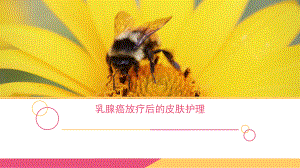 乳腺癌放疗后的皮肤护理.pptx