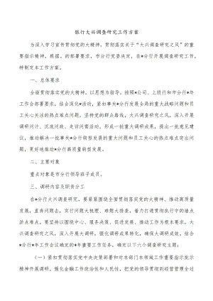 银行大兴调查研究工作方案.docx