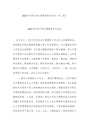 2023年处级干部主题教育研讨发言(共二篇).docx