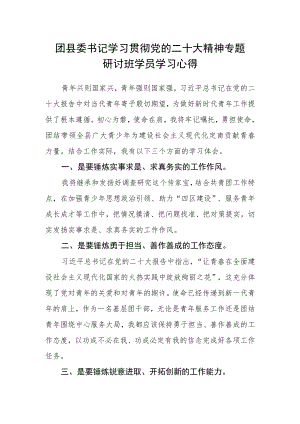 团县委书记学习贯彻党的二十大精神专题研讨班学员学习心得.docx