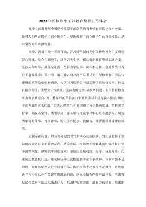 2023年纪检监察干部教育整顿心得体会一.docx