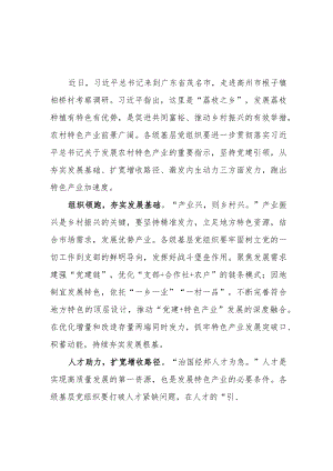 2023年4月在广东考察调研重要讲话精神学习心得体会感想5篇.docx