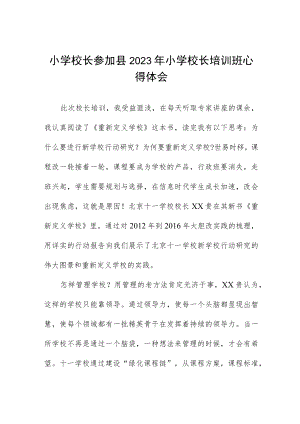 县2023年小学校长培训心得体会发言稿3篇合集.docx