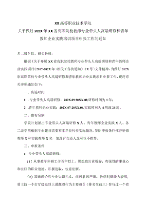 XX高等职业技术学院关于做好202X年XX省高职院校教师专业带头人高端研修和青年教师企业实践培训项目申报工作的通知.docx
