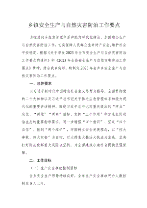 乡镇安全生产与自然灾害防治工作要点.docx