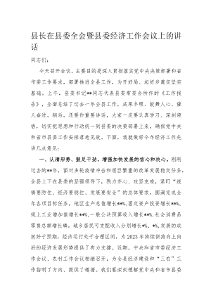 县长在县委全会暨县委经济工作会议上的讲话.docx