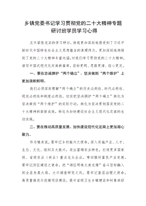 乡镇党委书记学习贯彻党的二十大精神专题研讨班学员学习心得.docx