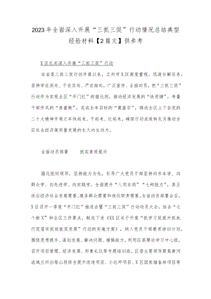 2023年全面深入开展“三抓三促”行动情况总结典型经验材料【2篇文】供参考.docx