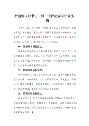 社区党支部书记三抓三促行动学习心得感悟.docx