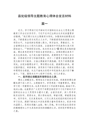 县处级领导主题教育心得体会发言材料精选三篇.docx